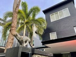 Riviera Drive (D16), Detached #556220591